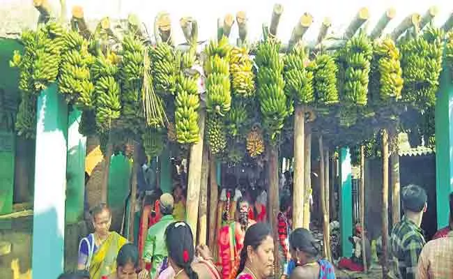 Banana Festival Celebrated In Lakshmi Narasimha Swamy Temple Srikakulam - Sakshi