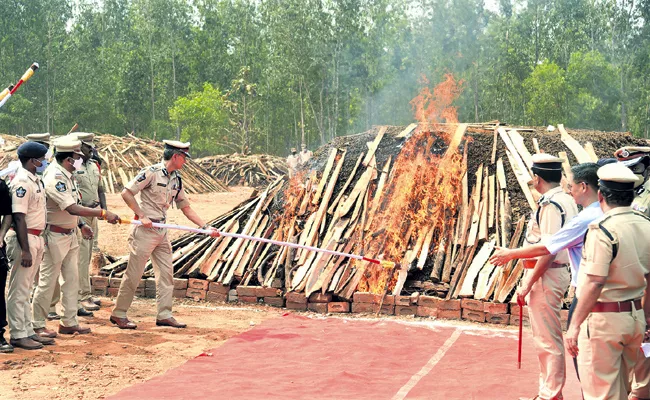 2 lakh kg of cannabis destroyed in Andhra Pradesh - Sakshi