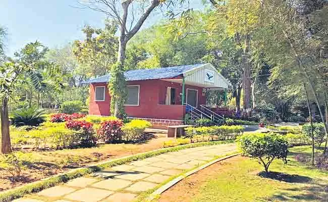 Nallamala Forest:Jungle Camps In Pedda Dornala Prakasam District - Sakshi