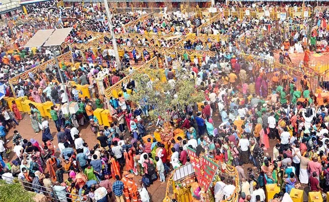 Medaram Jatara 2022: Devotees Offer Prayers To Sammakka Saralamma - Sakshi