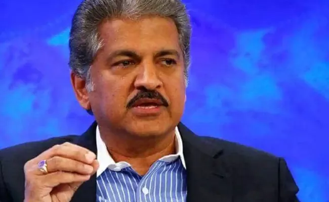 Anand Mahindra Share Duck Stand Off With Cows Video - Sakshi