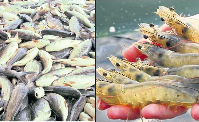 Andhra Pradesh Govt taken steps aimed at enhancing natural fisheries - Sakshi