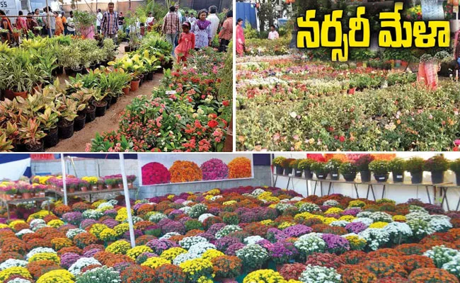 Hyderabad: All Set For 11th Grand Nursery Mela in Peoples Plaza - Sakshi