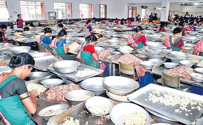 Food Processing Industry Setup in Andhra Pradesh: Johnson Choragudi Opinion - Sakshi