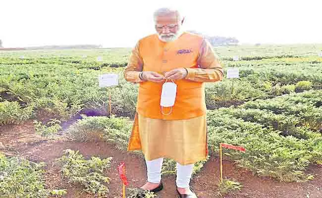 Prime Minister Modi Eating Peanuts In Icrisat - Sakshi