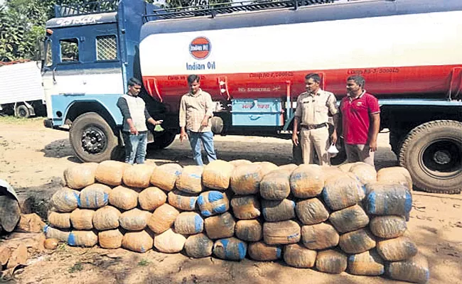 Transportation of marijuana in an oil tanker police Seizure of marijuana - Sakshi