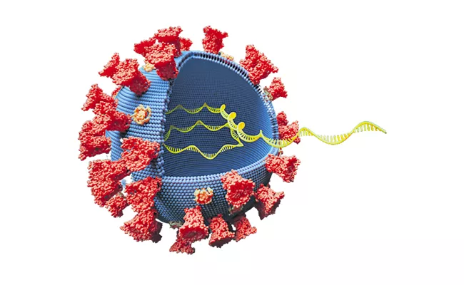 Covid-19 third stage of virus has reached an end stage - Sakshi