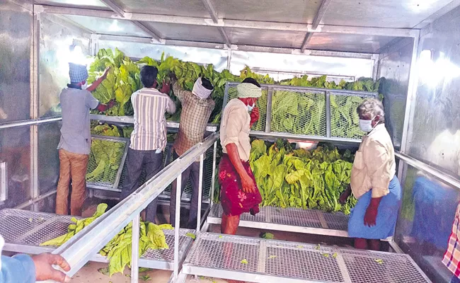 Tobacco farmers for mechanization in Andhra Pradesh - Sakshi