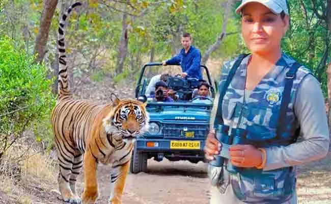 Interesting Story Suraj Bhai Meena Tourist Guide In Ranthambore Tiger Reserve - Sakshi