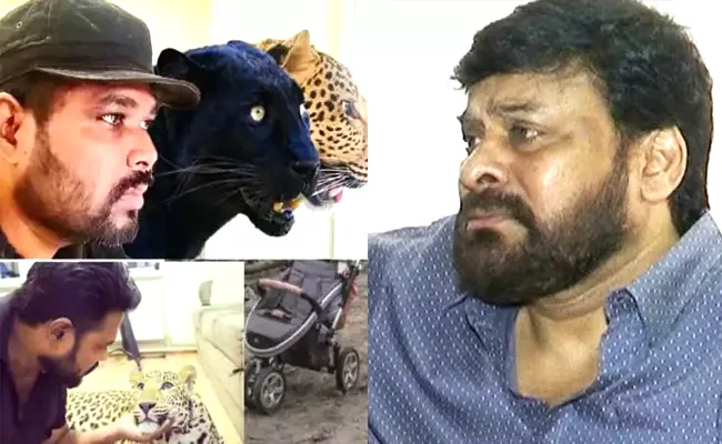 Chiranjeevi Emotional Tweet On Telugu Doctor Who Refused To Leave Ukraine - Sakshi