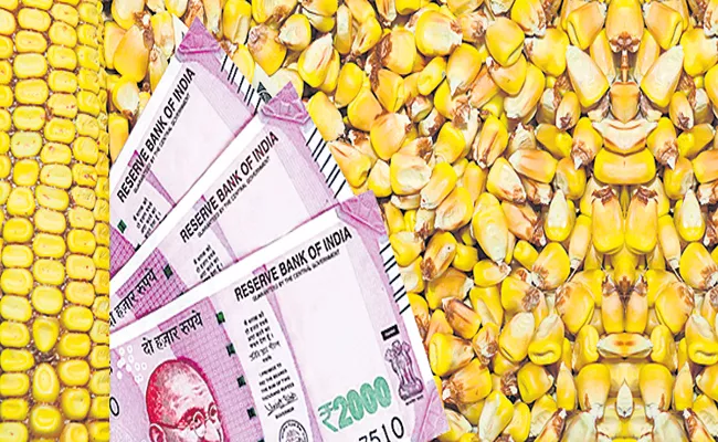 Huge Profits For Corn crop in Andhra Pradesh - Sakshi