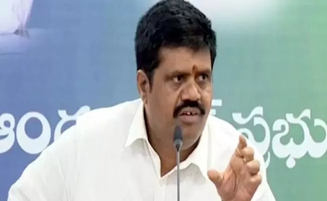 Minister Srinivasa Rao Serious On Pawan Kalyan And Purandeswari - Sakshi