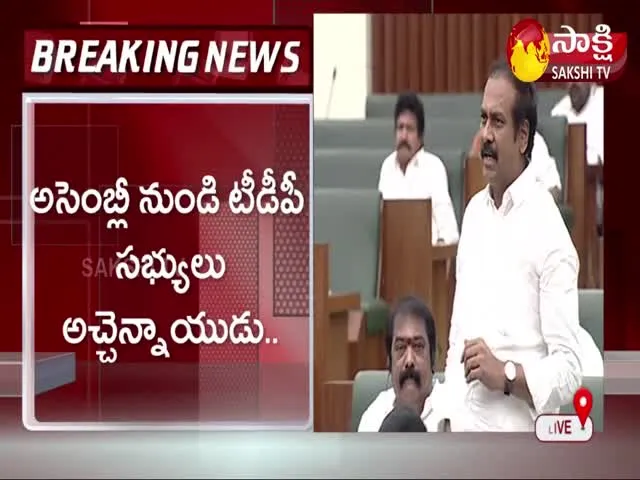 Minister Kurasala Kannababu Comments On TDP MLAs And Chandrababu