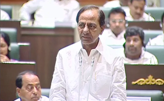 CM KCR Comments About Budget On Telangana Assembly - Sakshi