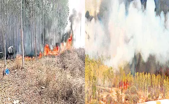 Massive Fire Accident At Keesaragutta Reserve Forest - Sakshi