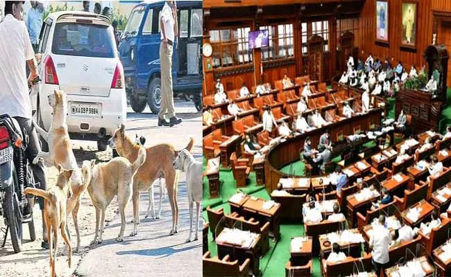 Karnataka: Dogs Problem Discussion Rise In Bangalore Assembly - Sakshi