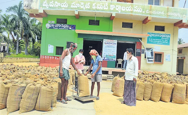 36,75,996 tonnes of grain procurement in Andhra Pradesh - Sakshi