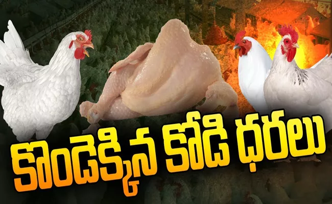 Shocking Chicken Price Hike 300 Rs In Telugu States - Sakshi