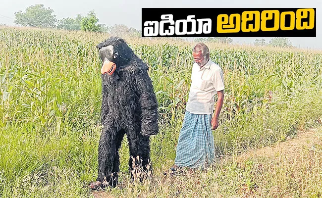 Husnabad: Crops Protected by Bear Attire in Nagasamudra Village - Sakshi