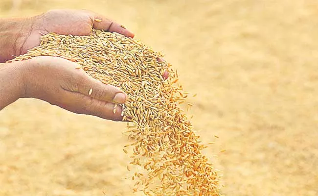 Telangana Paddy Procurement Panchayat Reached Delhi - Sakshi