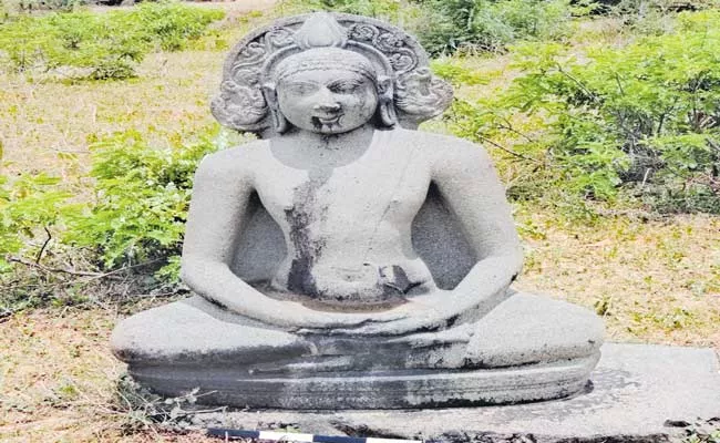 Hyderabad Central University Research On Amita Buddha - Sakshi