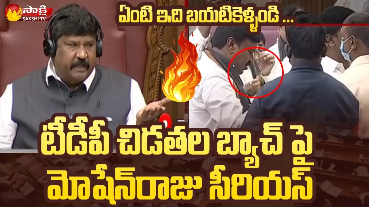 Koyye Moshen Raju Fires On TDP Leaders