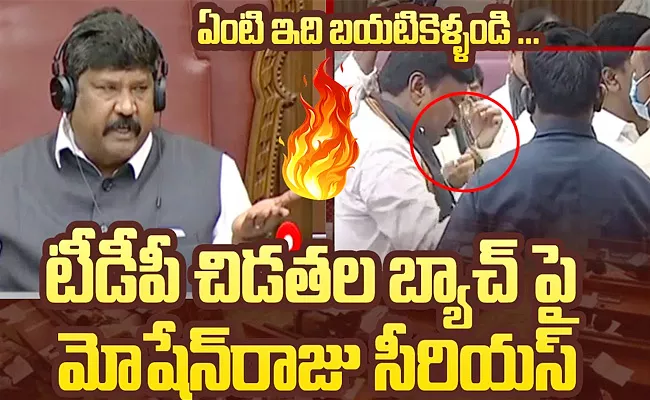 Overaction Of TDP Members In AP Legislative Council‌ - Sakshi