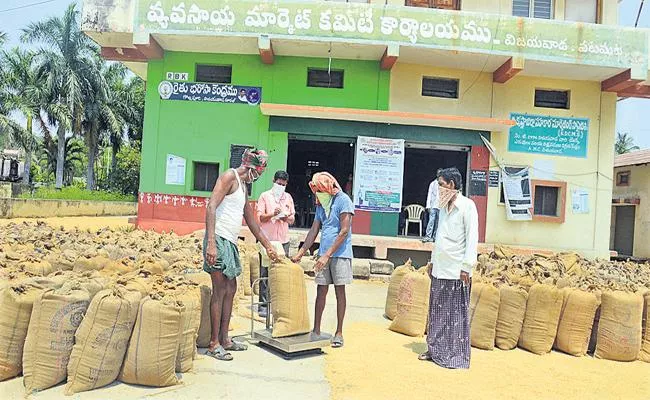 Purchases of pulses started in Rythu Bharosa Centres - Sakshi