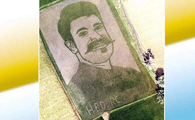 Mahabubnagar: Short Film Director Made Hero Ram Charan Photo with Rice Crop - Sakshi