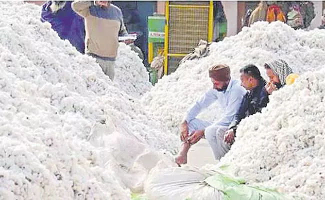 Telangana: Price Of Cotton Quintal Is Rs 12000 - Sakshi