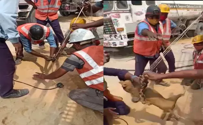 Dog Suddenly Fell Into Singareni Blasting Hole At Peddapalli, Employees Rescued - Sakshi