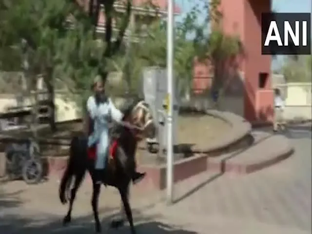 Maharashtra Man Travels To Work On Horse Amid Fuel Price Rise