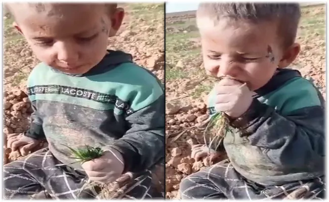 Ukraine Boy Reportedly Eating Grass To Survive, Viral Video - Sakshi