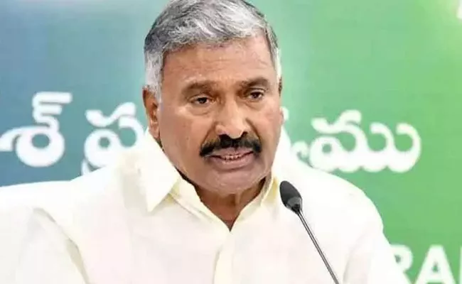 Amravati: Ysrcp Minister Peddireddy Ramachandra Reddy Fires On Chandrababu - Sakshi