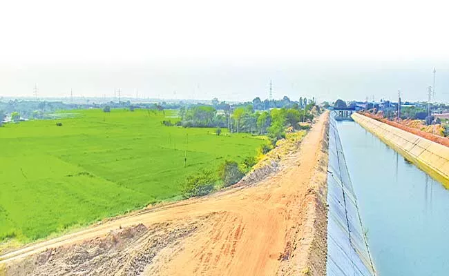 Medak District Lands Is Growing Full Of Crops With Kaleshwaram Water - Sakshi