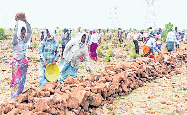 Day-to-day wages increased for Employment Guarantee Scheme - Sakshi