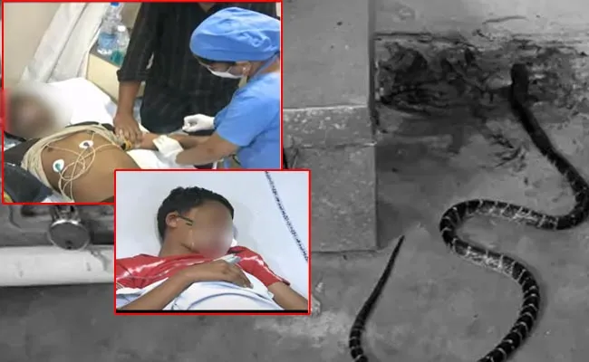 Snake Bite In Gurukul School Vizianagaram - Sakshi