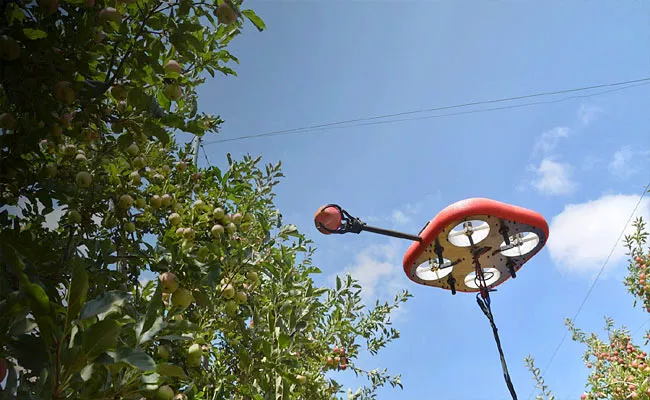 Flying Autonomous Robot Can Spot And Pick Ripe fruits - Sakshi