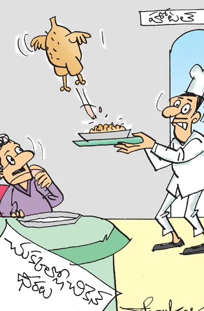 Sakshi Cartoon On Chicken Prices