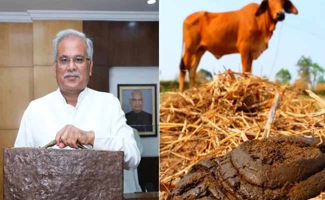 Cm Bhupesh Baghel Carries Briefcase Made Of Cow Dung To Assembly Sessions Chhattisgarh - Sakshi