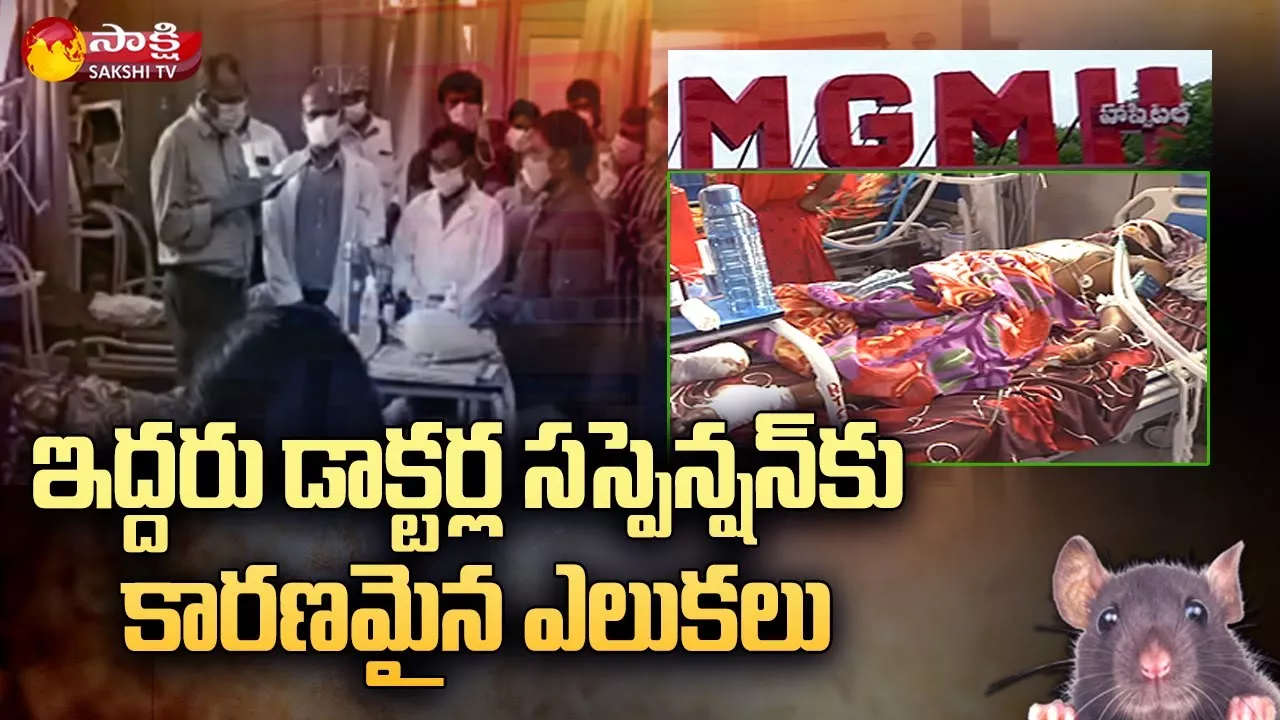 Warangal MGM Hospital Rats Bite Incident Latest Update