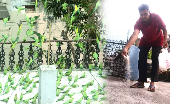 Man Feeds Hundreds Of Parrots At His Home Daily In Anakapalle - Sakshi