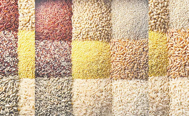 Harvest Small Grains, Restoration of Grains Solves Malnutrition - Sakshi