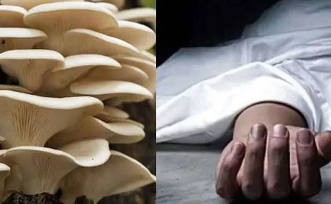 Consuming Poisonous Mushrooms Killed Few Assam People - Sakshi