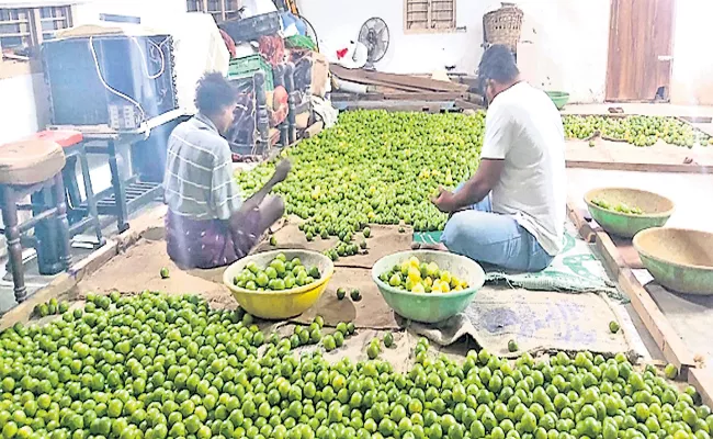 Horticultural farmers are happy with crops prices - Sakshi