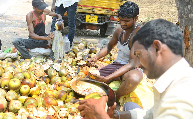 Palmyra Fruit Health Benefits In Summer Season  - Sakshi