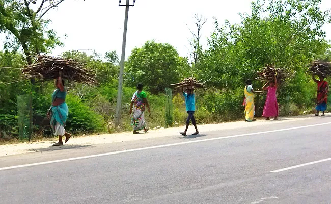 Domestic Gas Price Hike Villagers Collecting Firewood Warangal - Sakshi