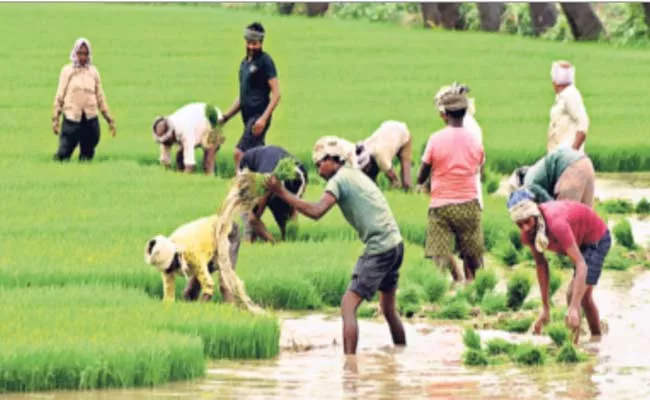 AP Agriculture Department Working To Get All Farmers Rythu Bharosa Fund - Sakshi