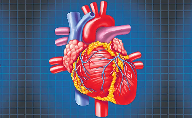 Heart disease risk and depression - Sakshi