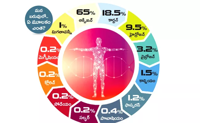 Human Body Elements Know How Many Elements Are There The Full Details - Sakshi